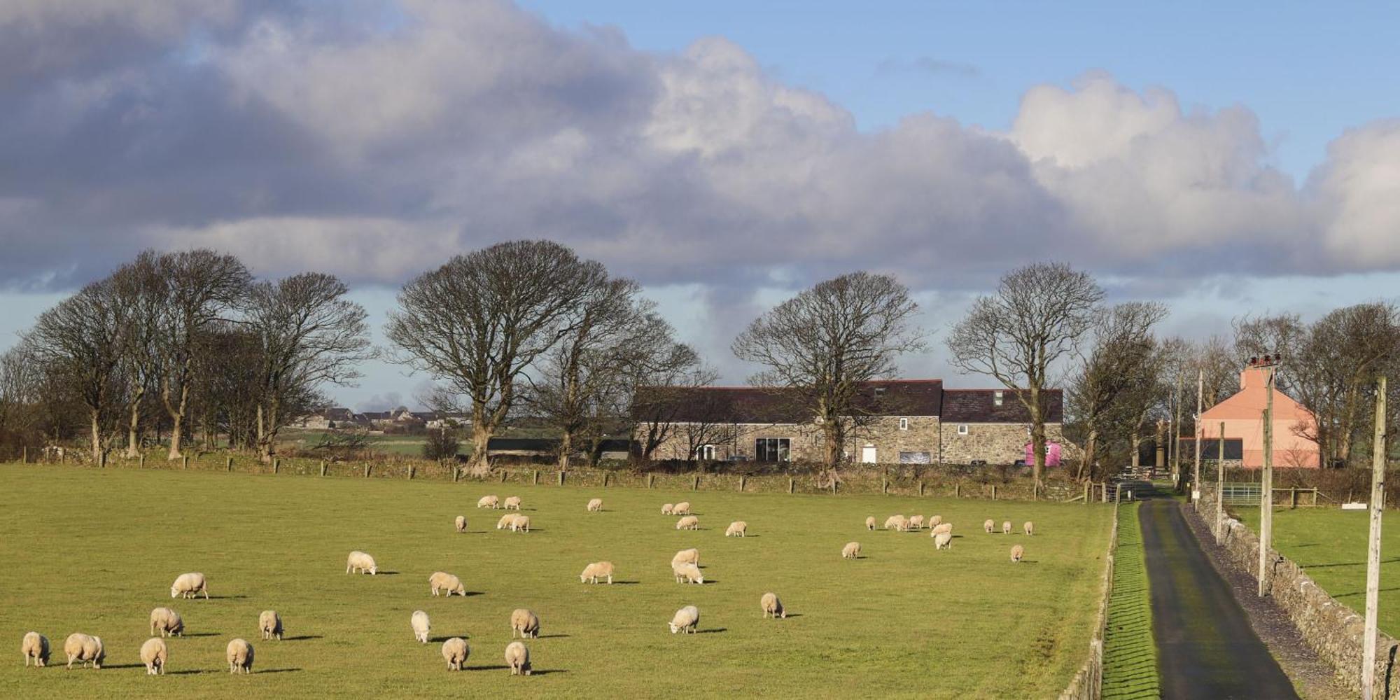 The Outbuildings Villa Newborough  Exterior photo
